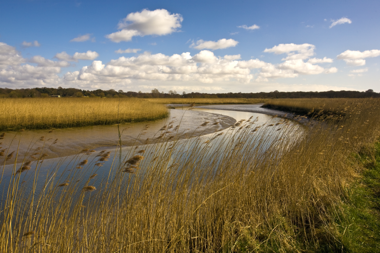 River Alde
